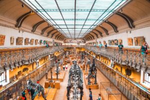 museum, dinosaur, dino, fossil, paleontology, extinct, prehistoric, evolution, ancient, jurassic, history, bones, archeology, predator, tourism, brown dinosaur, educational, museum, museum, museum, museum, museum, dinosaur, dinosaur, evolution